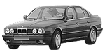 BMW E34 B245C Fault Code